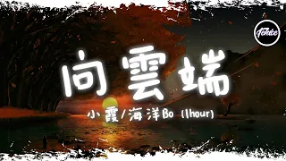 小霞/海洋Bo - 向雲端【一小時版本】「向雲端 山那邊 海裏面，真實的我應該走向哪邊」【動態歌詞】♪