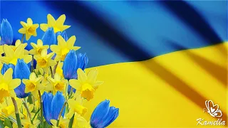 Українські весняні фони для відеомонтажу