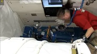 Space Station Live: Binary Colloidal Alloy Test