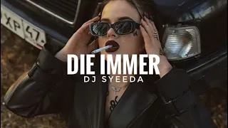 Stereoact, Kerstin Ott - Die Immer Lacht (Remix) DJ Fizo Faouez Remix