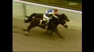 1984 Metropolitan Handicap - Fit To Fight