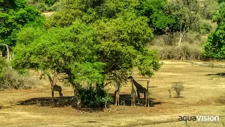 Kafue National Park - Zambia Tourism