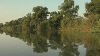 Дельта Волги. Лето. Delta of Volga river. Summer.