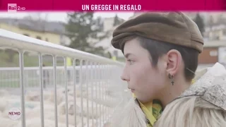 Un gregge in regalo - Nemo - Nessuno Escluso 13/04/2017