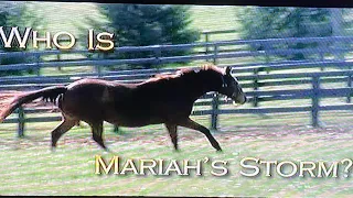 Who is Mariah’s Storm? Behind the scenes of Dreamer - RD Horses