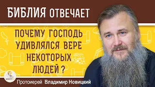 Почему ГОСПОДЬ УДИВЛЯЛСЯ ВЕРЕ некоторых людей ? Протоиерей Владимир Новицкий