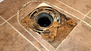 Toilet on rotten floor