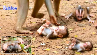 Tiny monkey Rainbow was mis-treated by step mummy Libby