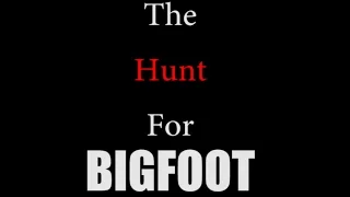 The Hunt For Bigfoot