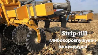 Strip-till глибокорозпушувач на кукурудзі