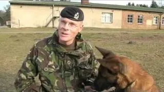 Dogs embarking on training for frontline missions 14.02.11