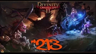 Konfrontation mit dem Doktor ⚔️ Let's Play Divinity Original Sin 2 German Part #213