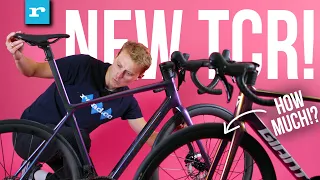 NEW 2024 Giant TCR HONEST Opinion & Why It's Make Or Break For The Flagship Road Race Bike