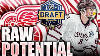 RED WINGS DRAFT RAW POTENTIAL D-MAN: LARRY KEENAN (Detroit NHL Entry Draft Top NHL Prospects News)