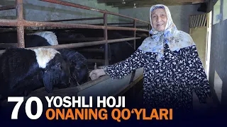 70 yoshli hoji onaning qo‘ylari – oilaga qo‘shimcha daromad