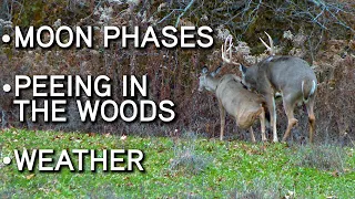 Deer Hunting MYTHS And FACTS!! | Moon Phases | Peeing In The Woods | Weather