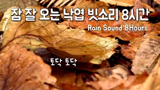 잠 잘 오는 낙엽을 토닥이는 빗소리 ｜8시간 asmr