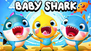 Best Baby Shark Family + Wheels On The Bus - Funny Cartoons Songs & More Funny Nursery Rhymes