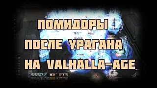 Baium Fun fights - [Valhalla-age.ru x1200]