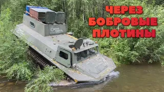 МТЛБ vs большие бобровые плотины! Таёжный off-road! Бобры не ожидали что мы доберемся до их плотин!