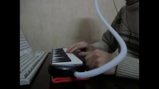 Голос с клавишами - необычный музыкальный инструмент