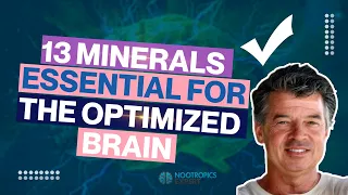 13 Minerals Essential for the Optimized Brain