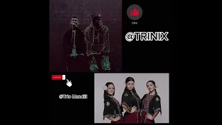 @Trinix &@TrioMandili Georgian language music Remixed by Trinix🇺🇸🇬🇪