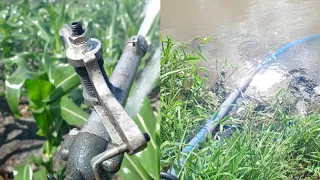 irrigação por aspersão, mostrando todo nosso sistema de irrigação, mangueira, aspersor e motor bomba