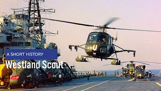 Westland Scout - A Short History