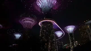 Сингапур. Сады у залива. Иду на вечернее световое шоу супер-деревьев