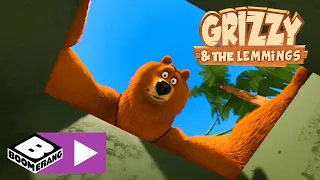 Grizzy en de Lemmings | Wild gezap | Cartoonito