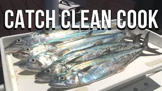 Spanish Mackerel [Catch Clean Cook] Smoked Fish Dip