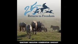 2023 Return to Freedom Highlights!