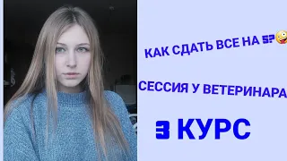 Сессия у ветеринара / 3 курс 1 семестр/ как я сдала сессию?