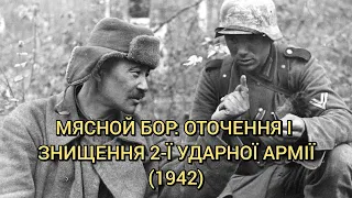 Мясной Бор: оточення і розгром 2-ї Ударної армії генерала Власова (1942)