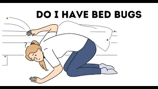 Bed Bugs - Do I Have Bed Bugs - Ways To Know If You May Have Bed Bugs