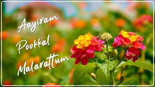 ஆயிரம் பூக்கள் மலரட்டும் - Aayiram Pookkal  Malarattum