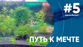 Путь к мечте. Растительный аквариум без CO2 #Aquacontest