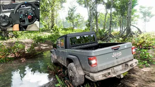 Jeep Gladiator Rubicon | OFFROAD - Forza Horizon 5 | Logitech g29 gameplay