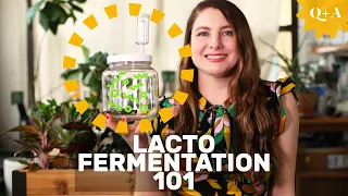 Fermentation 101: Guide to Lacto Fermenting Foods
