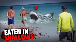 These 3 Swimmers Are EATEN ALIVE By Shark In SHALLOW Water!