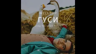 Wellboy - Гуси (Oleg Novosad Remix) [Unofficial Summer / Tropical Mix]