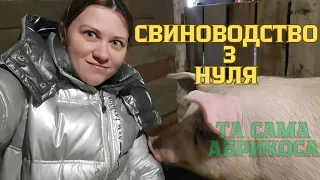 Свиноводство з нуля🐖Та сама Абрикоса🐷Стасян Водолога🐽