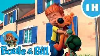 🥰Boule et bill forment un duo d'enfer !⚾ - Nouvelle Compilation Boule et Bill FR