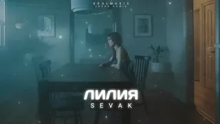 Sevak - Лилия (Премьера песни 2022)