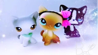 LPS Music Video ~Санта лючия~