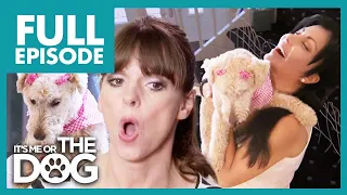 Boyfriend Walks Out on Girlfriend who Loves Dogs More!😳 | Full Episode | It's Me or the Dog