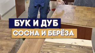 Бук, береза, дуб, сосна - Красим доску в один цвет, а результат разный!