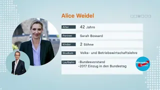Wer ist Alice Weidel? Ein Kurzporträt | Bundestagswahl 2021