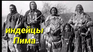 Пима- индейцы Северной Америки